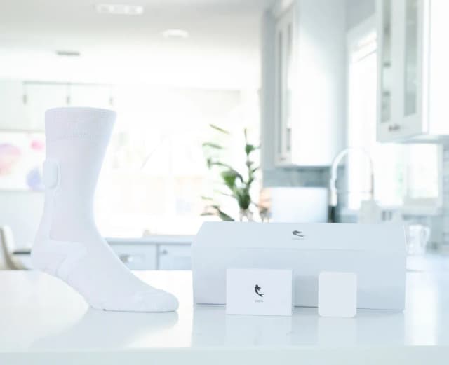 Why Ren Sock